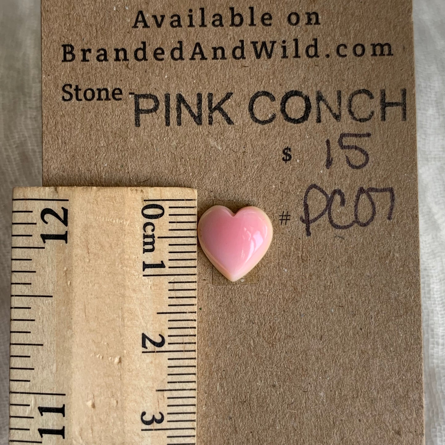 Pink Conch Cabochon - PC07