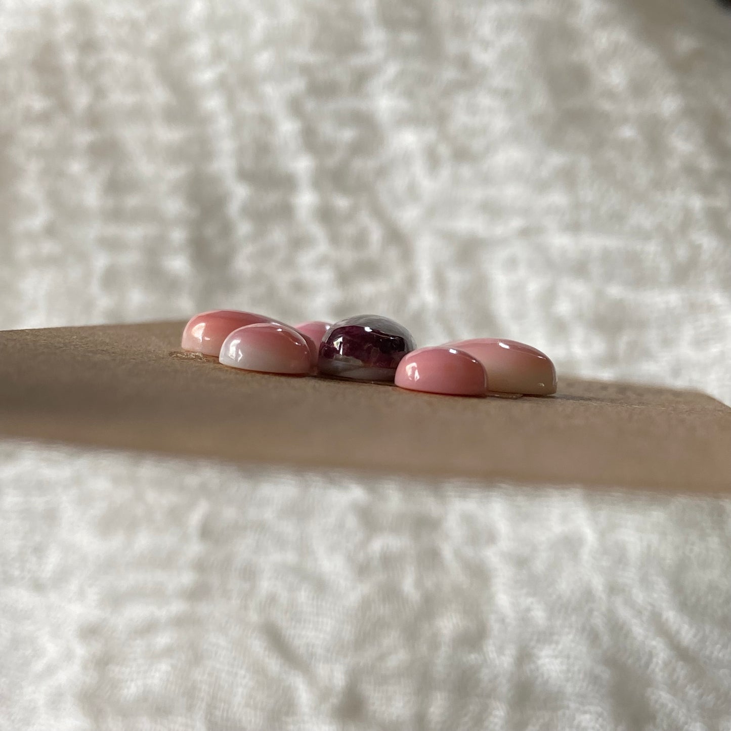 Pink Conch / Oyster Shell Cabochon - OP03