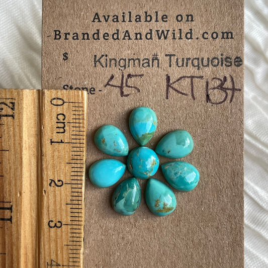 Kingman Turquoise Cabochon - KT134 59712FCA-CC46-4CAD-B122-5B1B71E0AD5D Brandedandwild.com