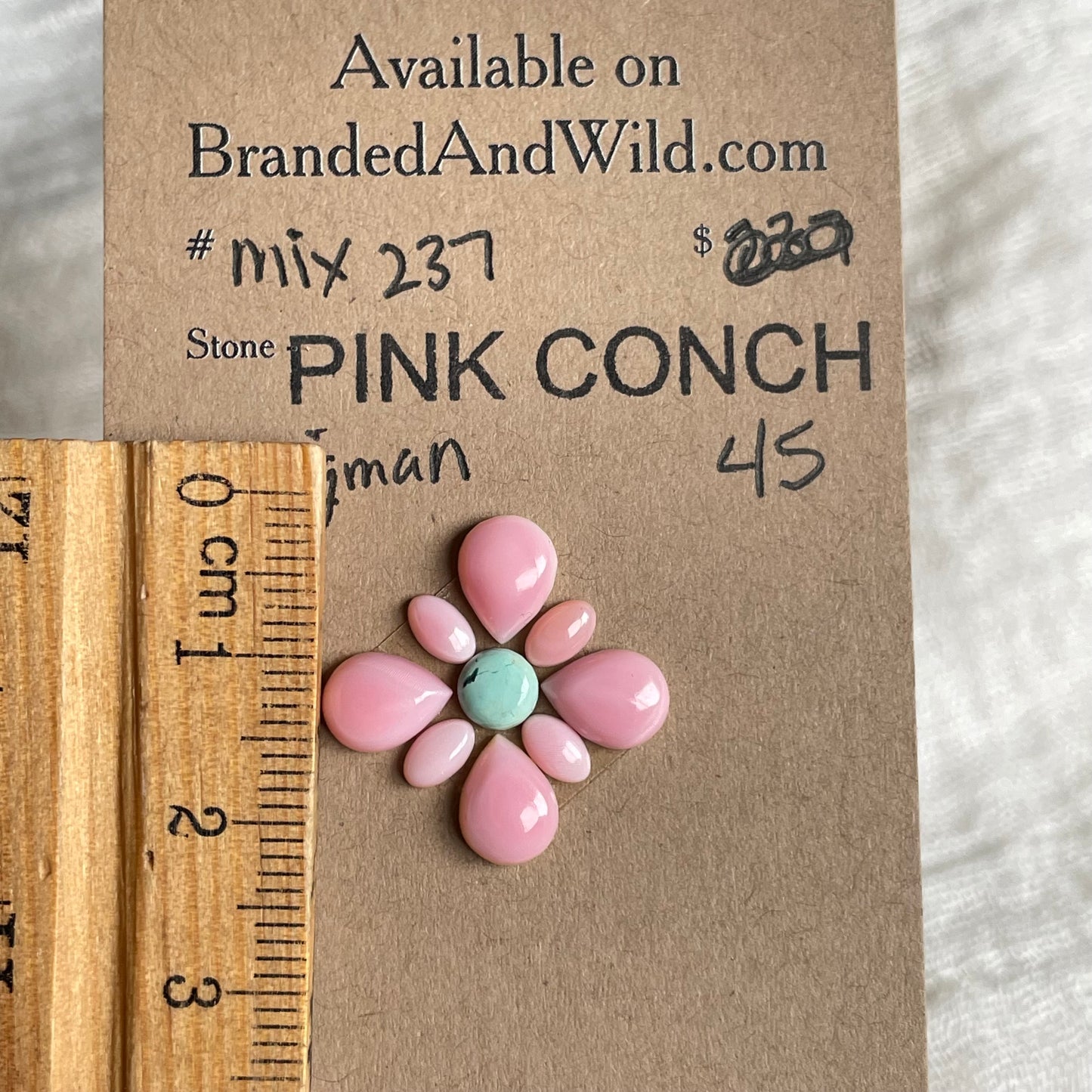 Kingman Turquoise / Pink Conch Cabochon - Mix237 597E4FD2-C0CD-4F8C-AF32-7825AEEDE723 Brandedandwild.com