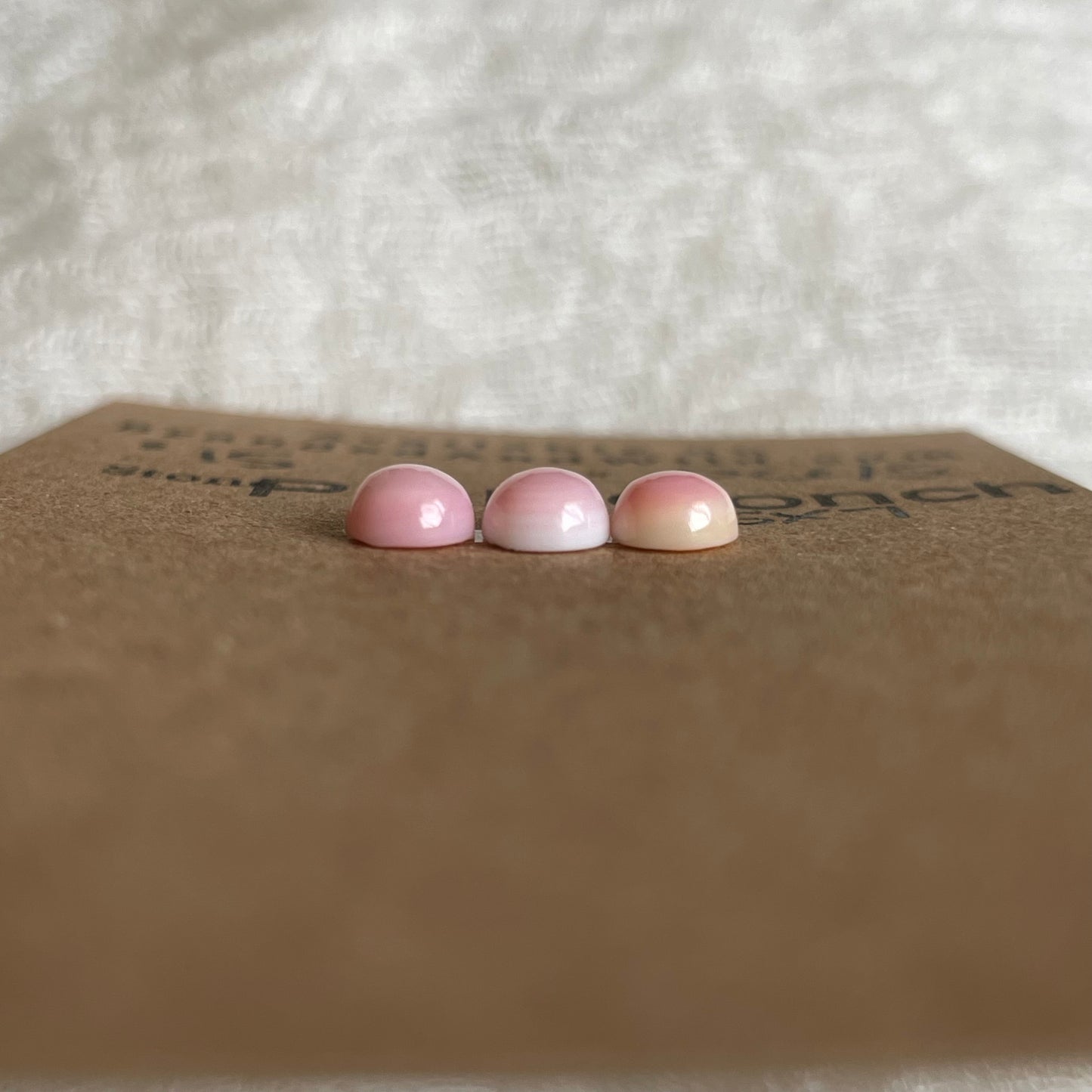 Pink Conch Cabochon - PC45