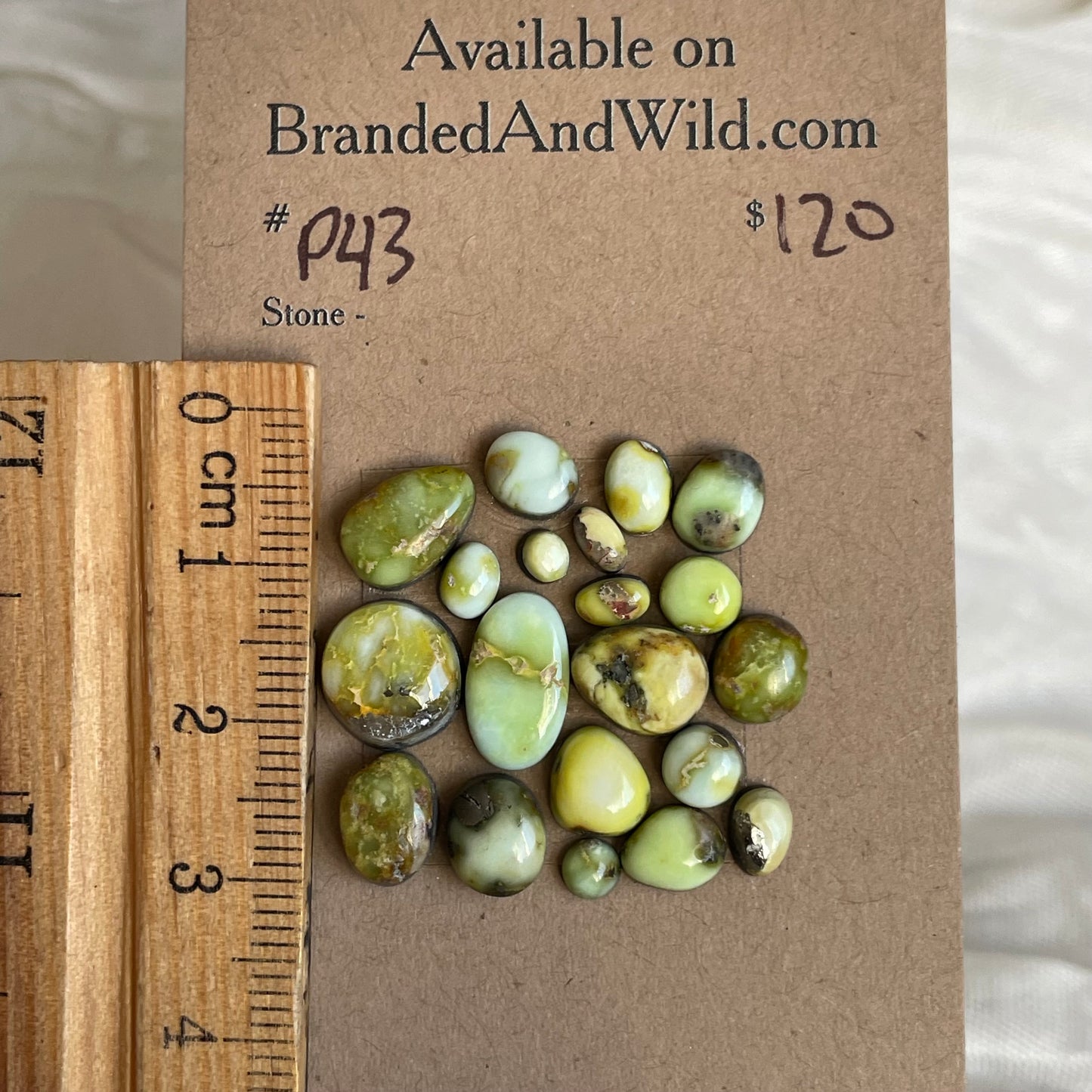 Palomino Cabochon - P43 59B07F3F-9A39-4F0F-B90B-D61A491165D7 Brandedandwild.com