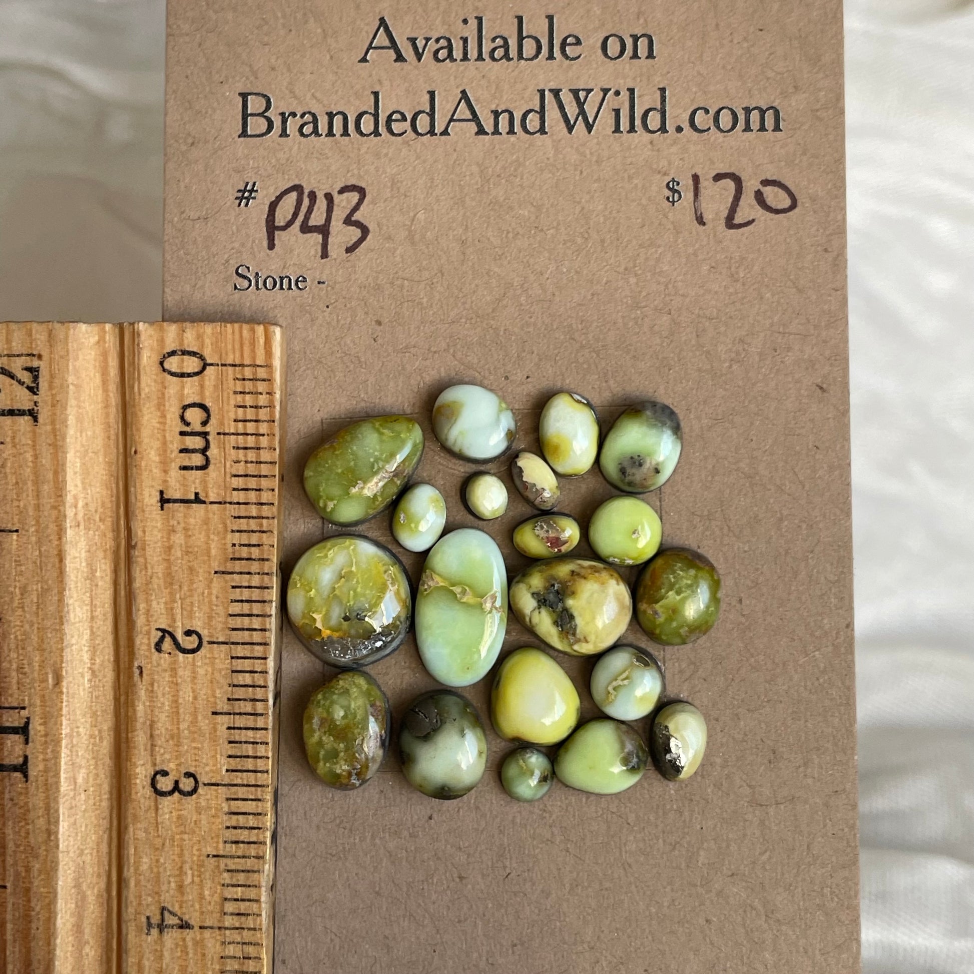 Palomino Cabochon - P43 59B07F3F-9A39-4F0F-B90B-D61A491165D7 Brandedandwild.com