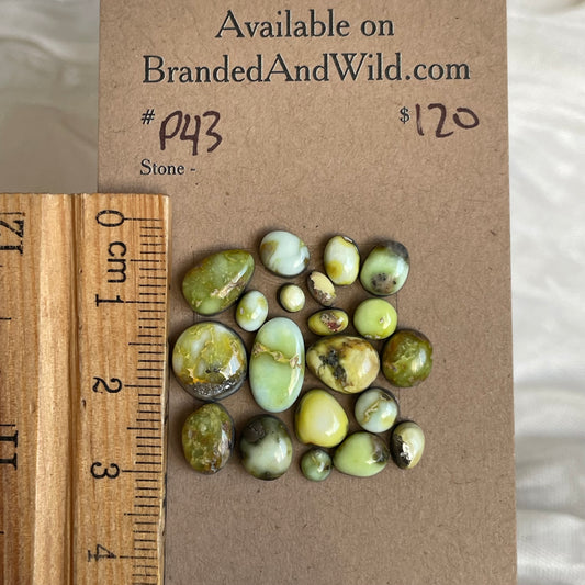 Palomino Cabochon - P43 59B07F3F-9A39-4F0F-B90B-D61A491165D7 Brandedandwild.com