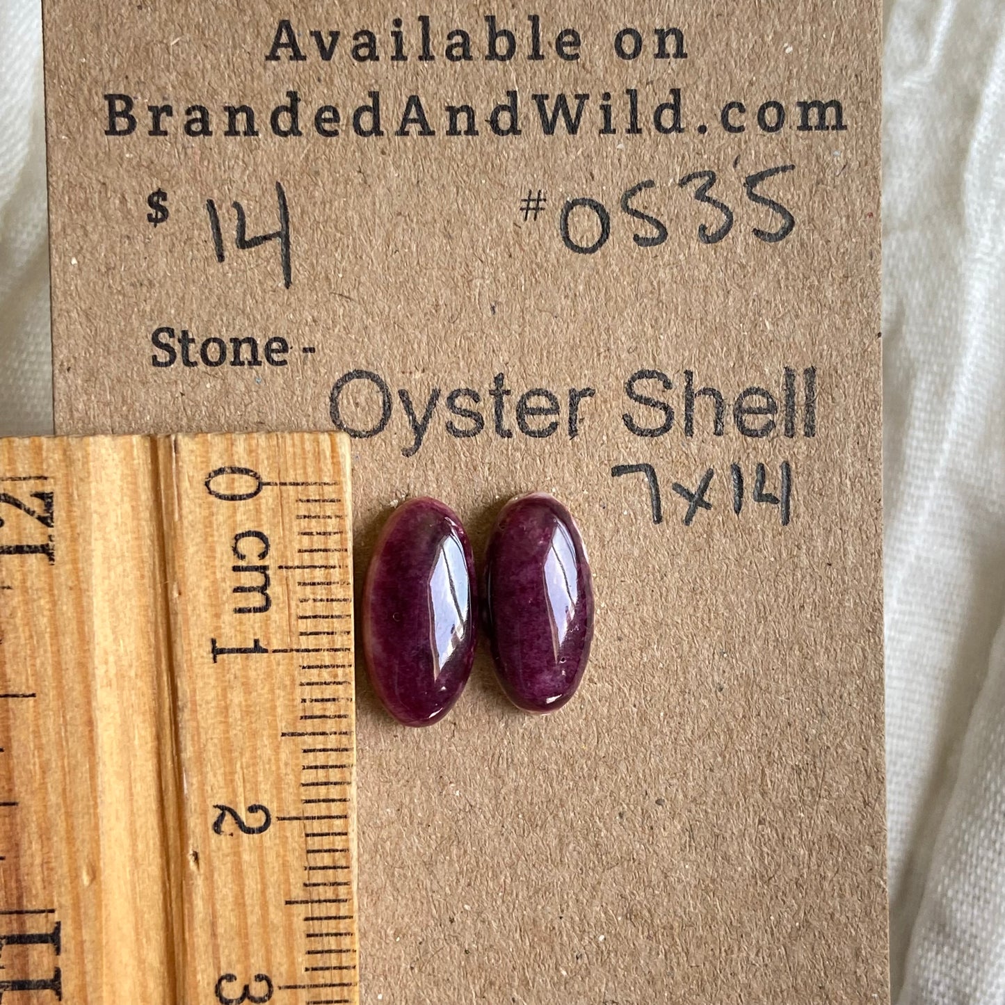 Oyster Shell Cabochon - OS35
