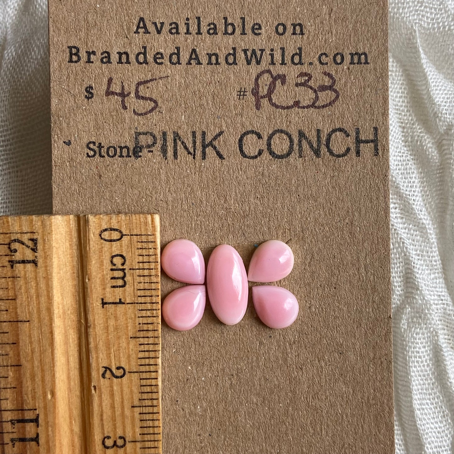 Pink Conch Cabochon - PC33 59DF139C-2526-41E1-8691-23229E94CB0A Brandedandwild.com