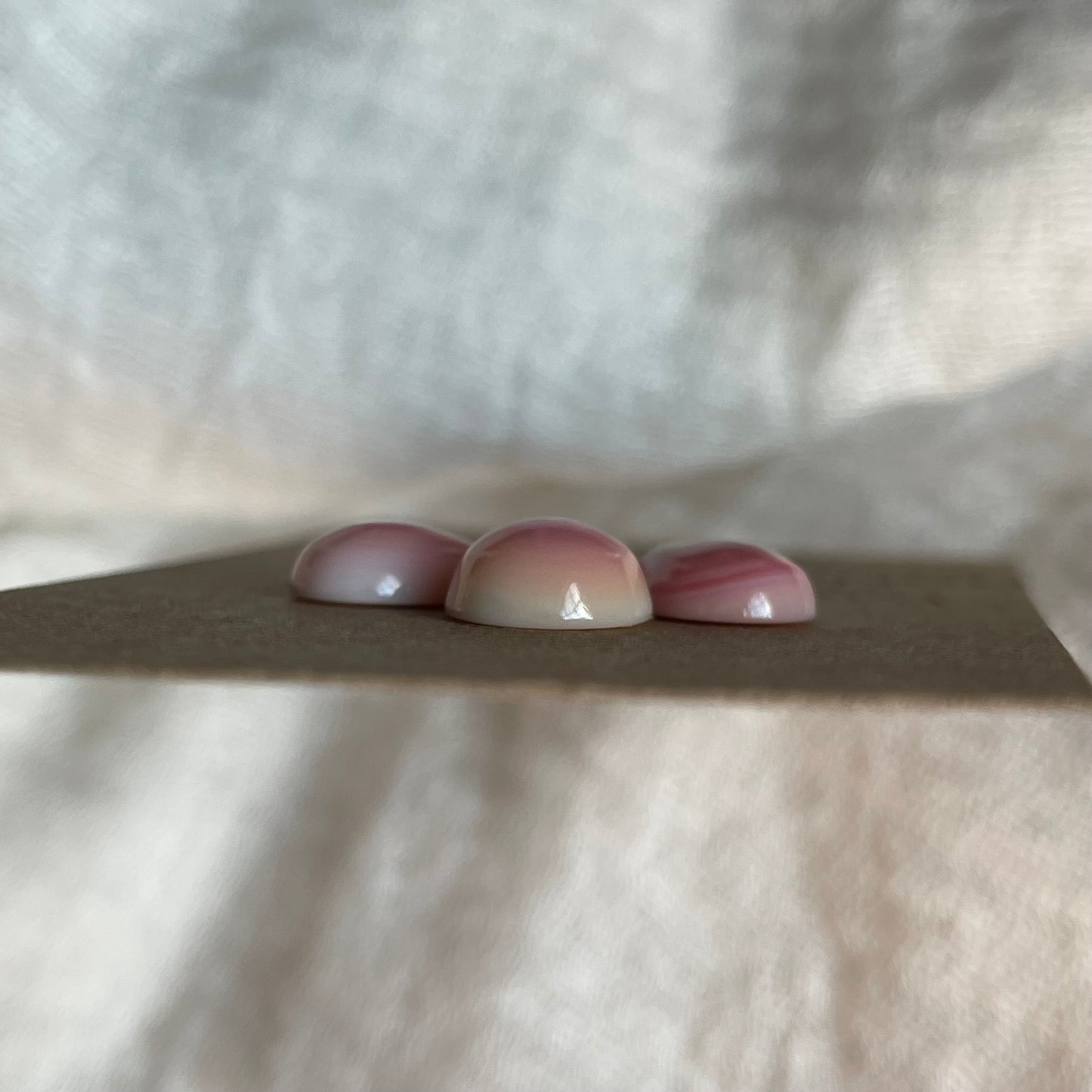 Pink Conch Cabochon - PC01