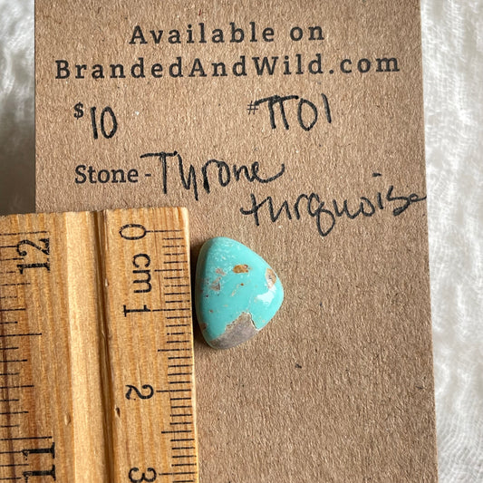 Tyrone Turquoise Cabochon - TT01 5A136CC3-EB17-40ED-A025-F09F56A451F5 Brandedandwild.com