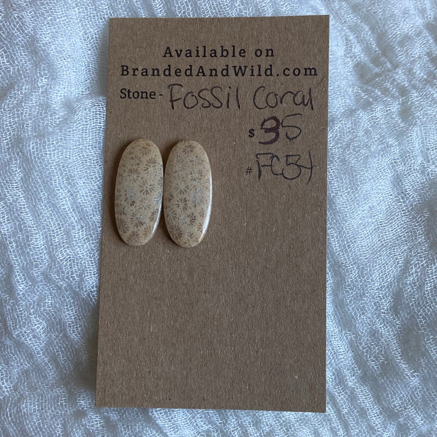 Fossil Coral Cabochon - FC54