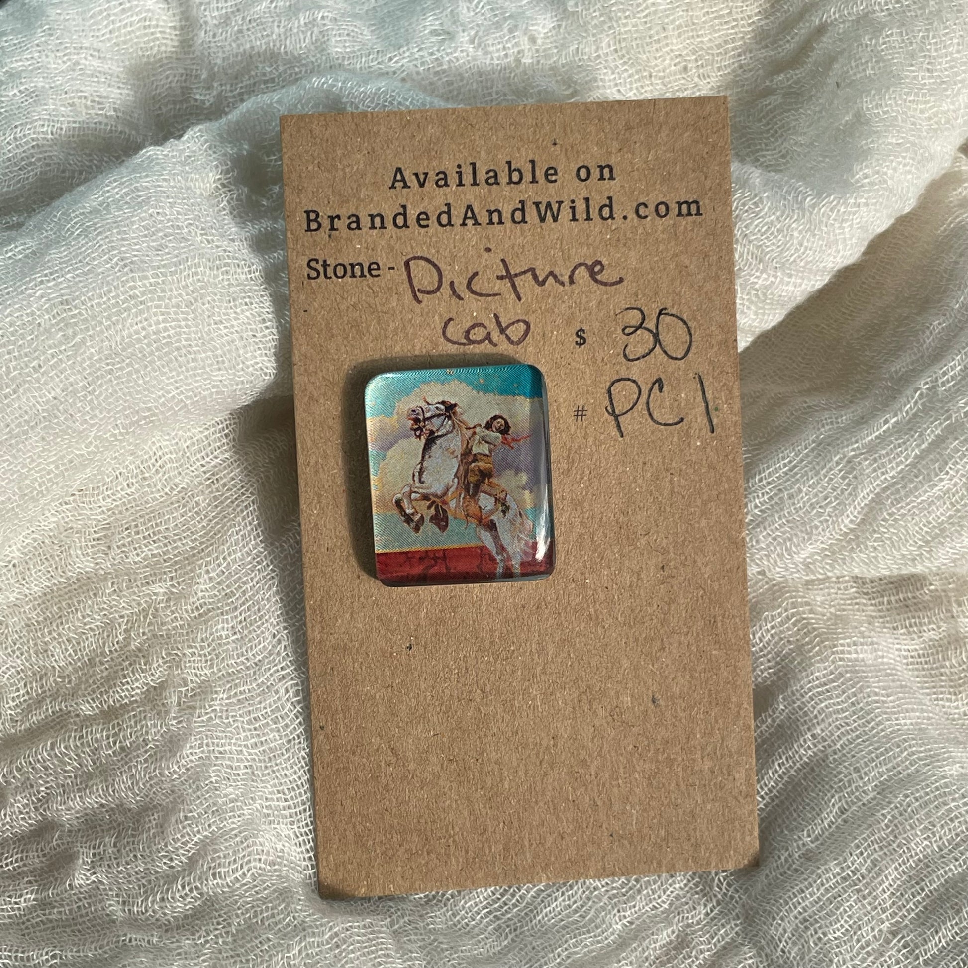 Picture Cabochon - Cabochon - PC1 5A2E2168-EB51-4AC0-A15C-BE8740638D59 Brandedandwild.com