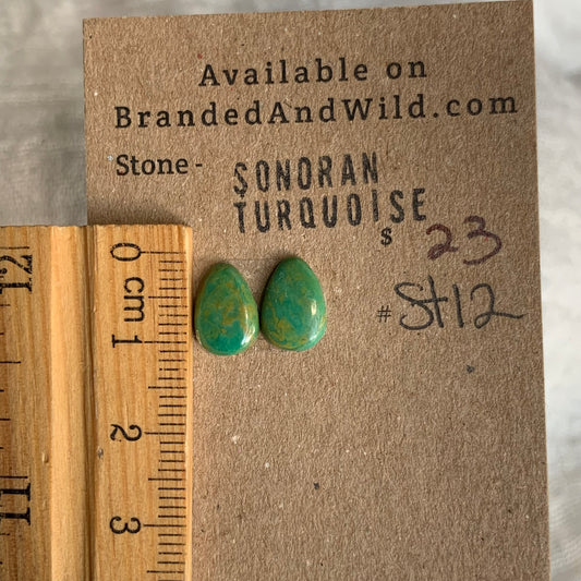 Sonoran Turquoise Cabochon - ST12