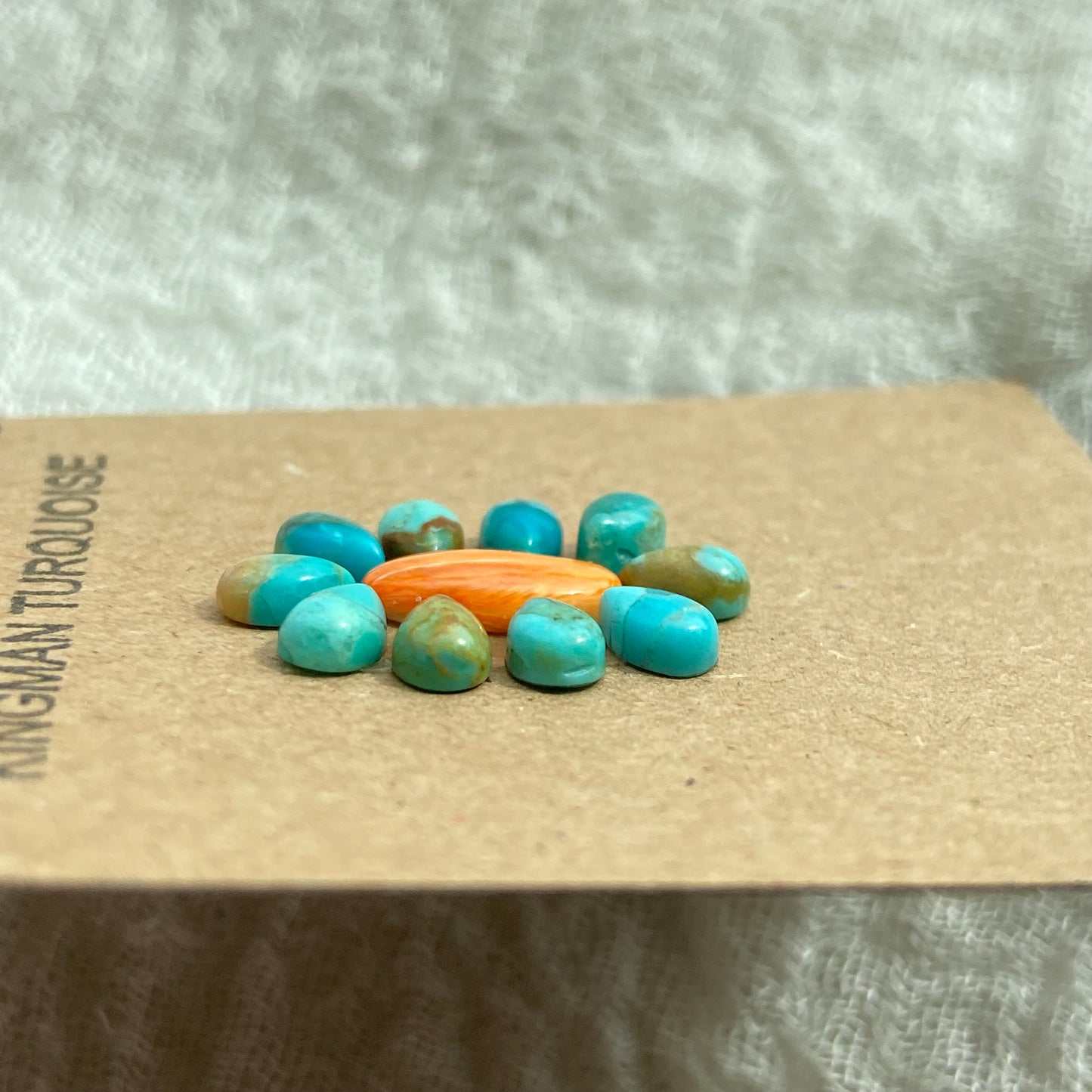 Kingman Turquoise / Oyster Shell Cabochon - Mix149