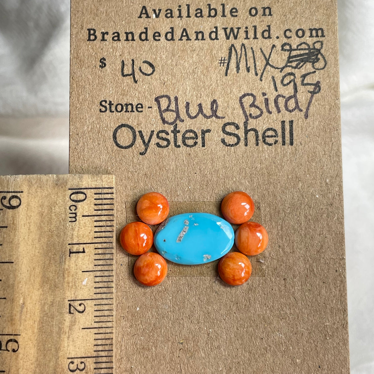 Oyster Shell / Blue Bird Cabochon - Mix195 5A5C2F3E-CF47-4761-9FD3-A5DA720E35D3 Brandedandwild.com