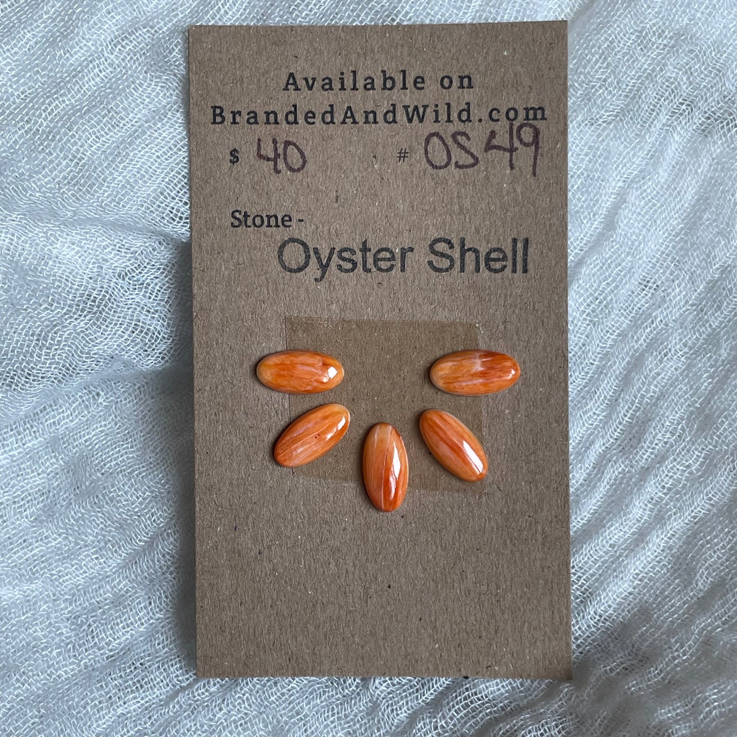 Oyster Shell Cabochon - OS49
