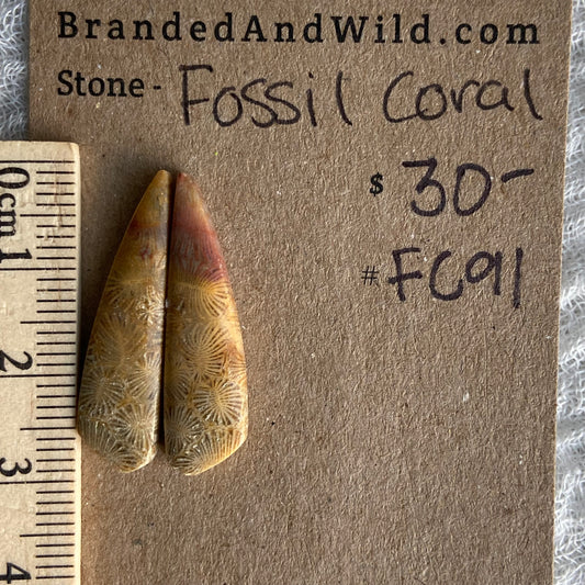 Fossil Coral Cabochon - FC91
