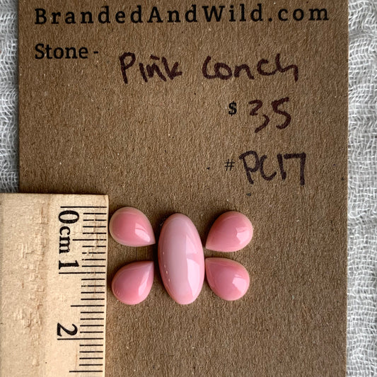 Pink Conch Cabochon - PC17