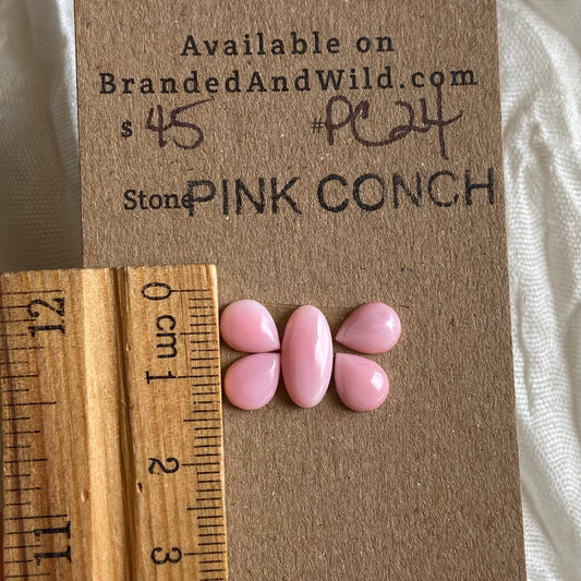 Pink Conch Cabochon - PC24 5AC20B5C-946D-4569-AF27-AC04361BBBBA Brandedandwild.com