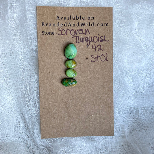 Sonoran Turquoise Cabochon - ST01