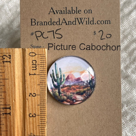 Picture Cabochon - Cabochon - PC75 5AE5F65F-D5EF-4DD6-BA2E-6E243DFCC37A Brandedandwild.com