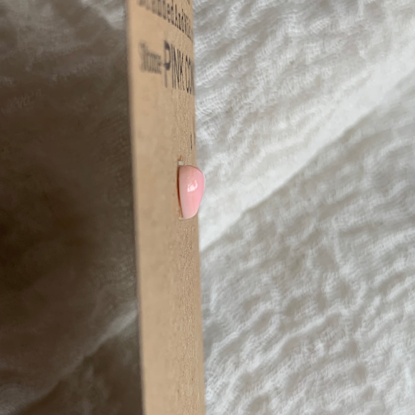 Pink Conch Cabochon - PC56