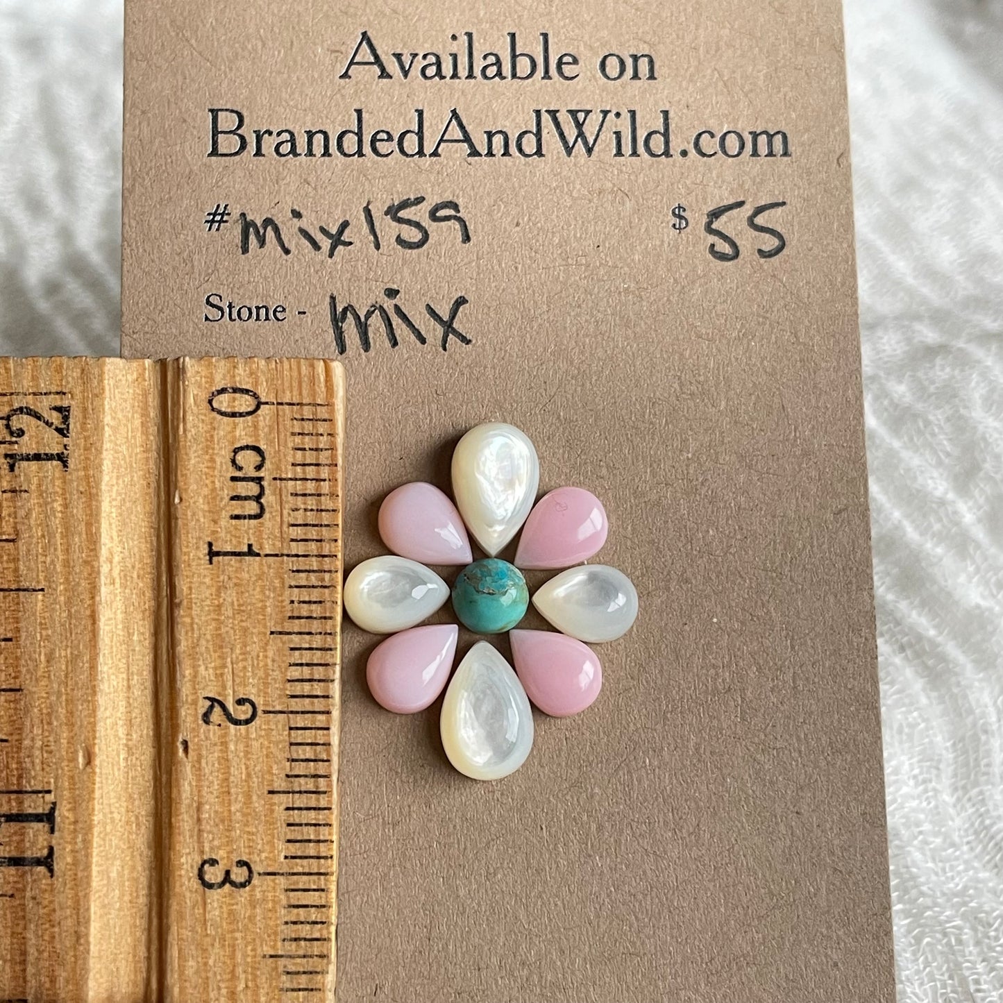 Pink Conch Mix Cabochon - MIX159 5AFC3662-3E46-41E9-9D40-C6AE67FAF092 Brandedandwild.com