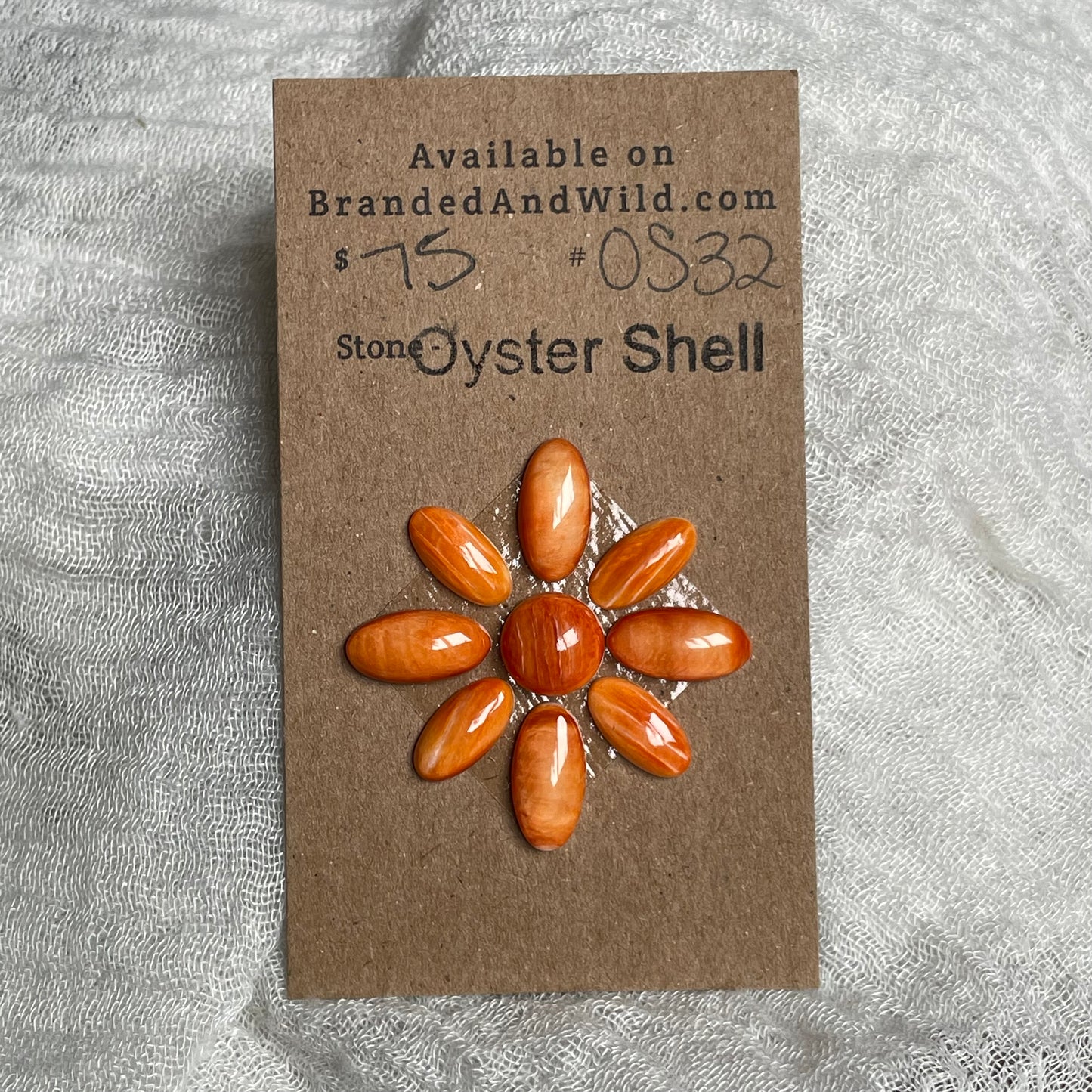 Oyster Shell Cabochon - OS32