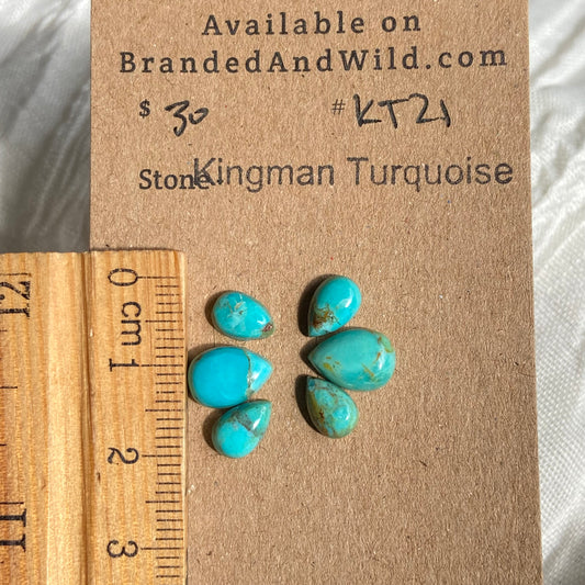 Kingman Turquoise Cabochon - KT21 5B0794FC-D7B0-4899-A894-F16E1AD14B03 Brandedandwild.com