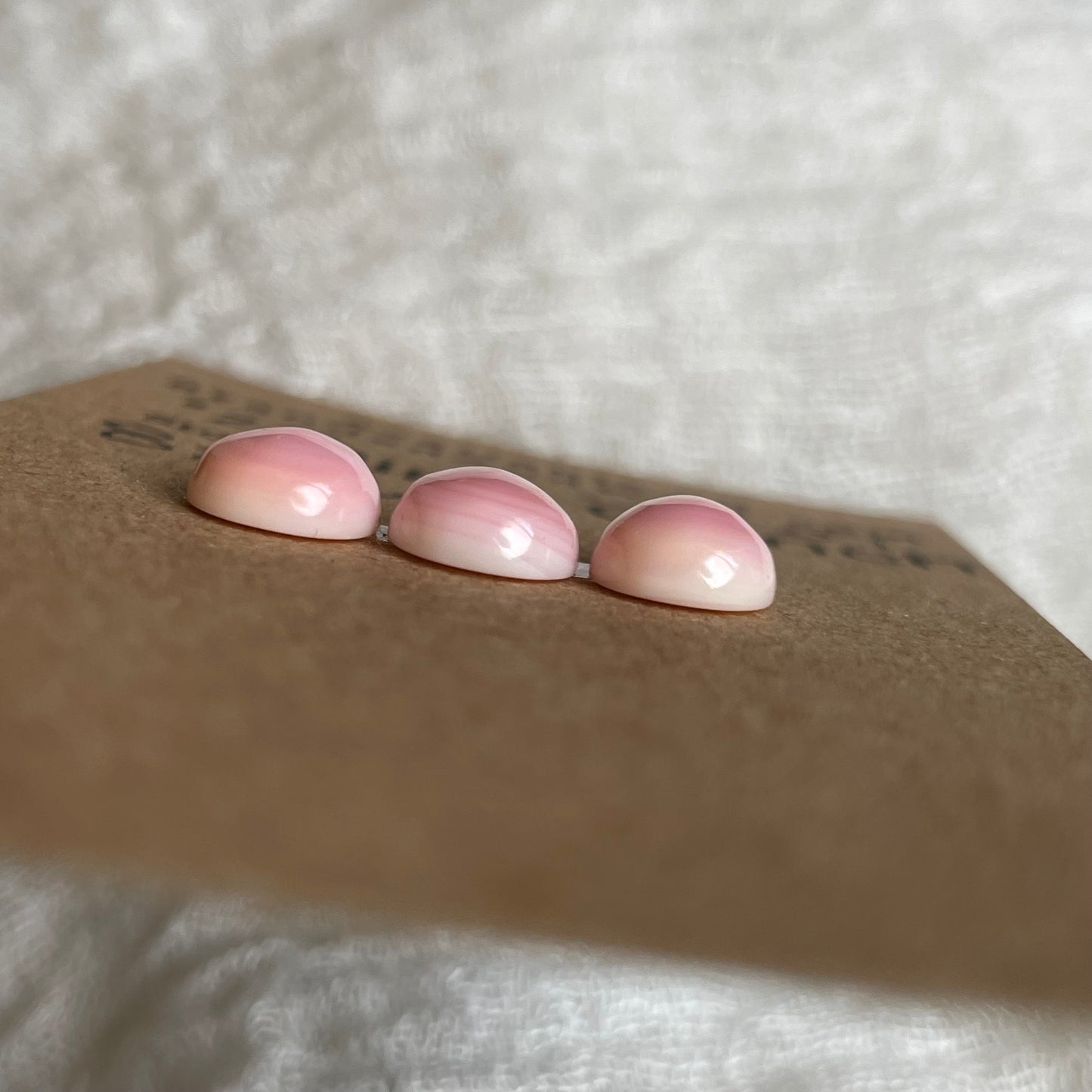 Pink Conch Cabochon - PC07