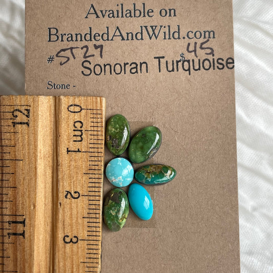 Sonoran Turquoise Cabochon - ST27 5B177551-7C4C-46F0-99DD-182A8FCEE0AA Brandedandwild.com