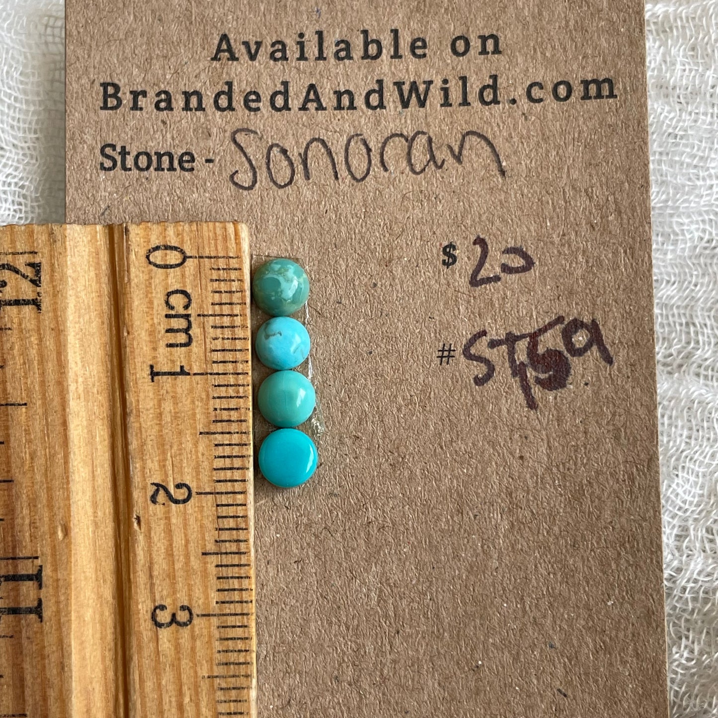 Sonoran Turquoise Cabochon - ST159