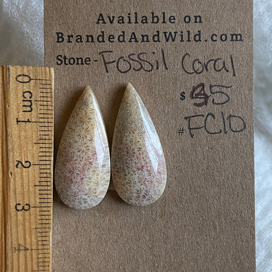 Fossil Coral Cabochon - FC10 5B23DDA9-0C0D-44FD-9A79-5228BFA1FC27 Brandedandwild.com