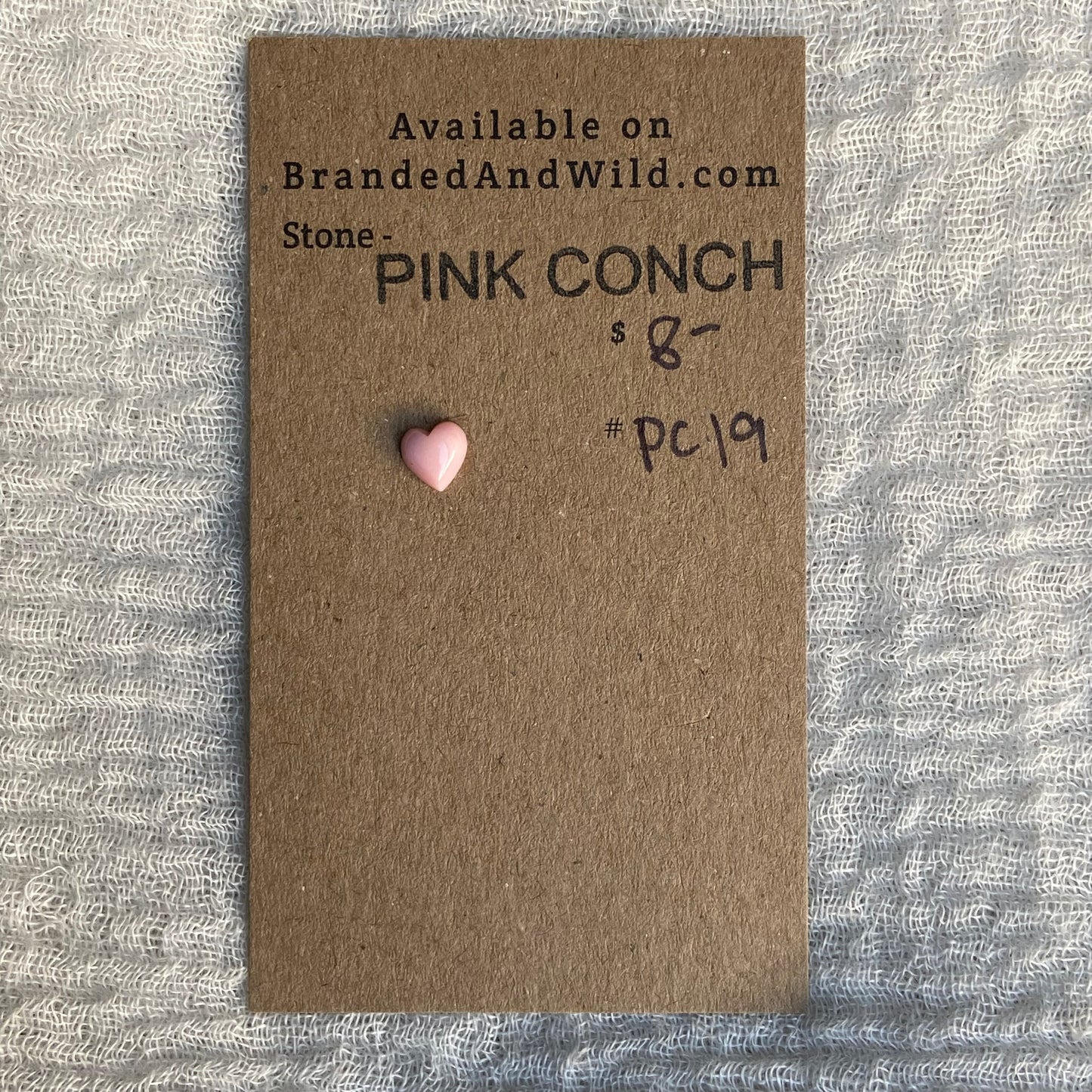 Pink Conch Cabochon - PC19