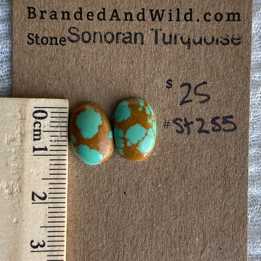 Sonoran Turquoise Cabochon - ST255