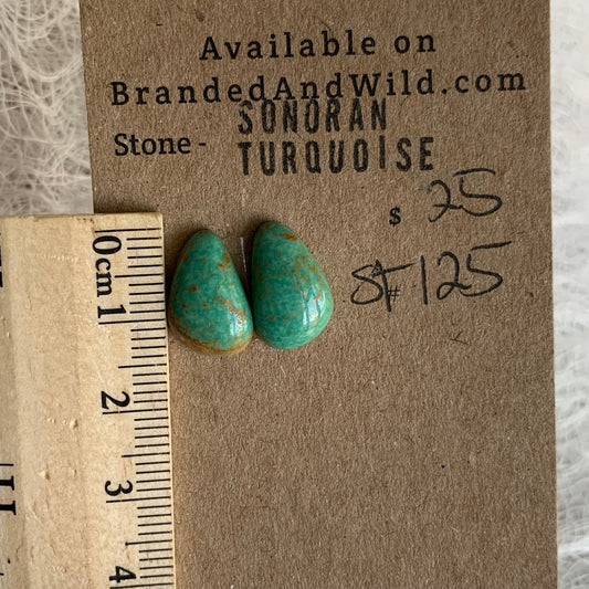 Sonoran Turquoise Cabochon - ST125
