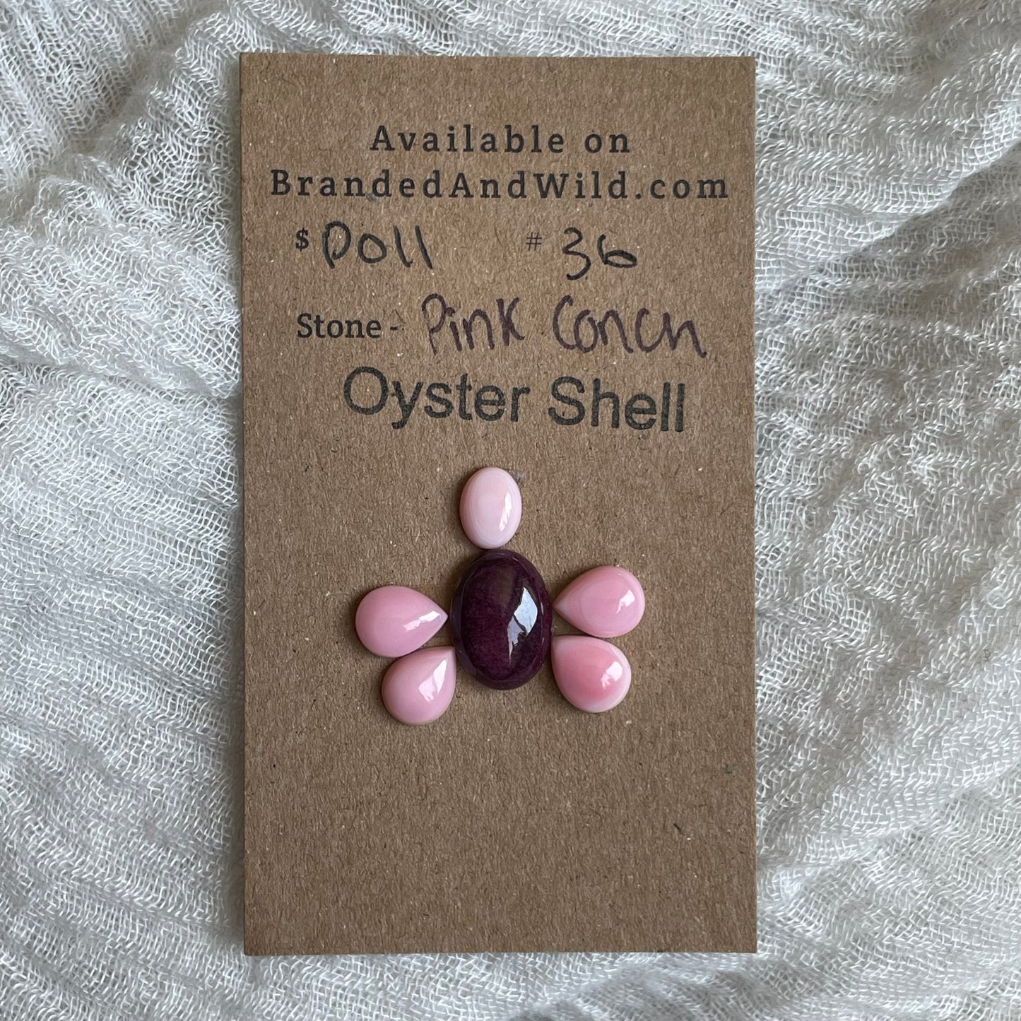 Pink Conch / Oyster Shell Cabochon - P011