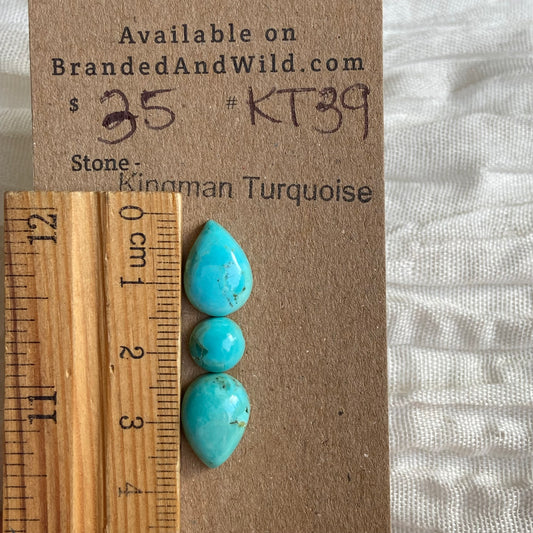 Kingman Turquoise Cabochon - KT39 5B424761-B1C4-4B8B-B640-92FF9132F5C3 Brandedandwild.com