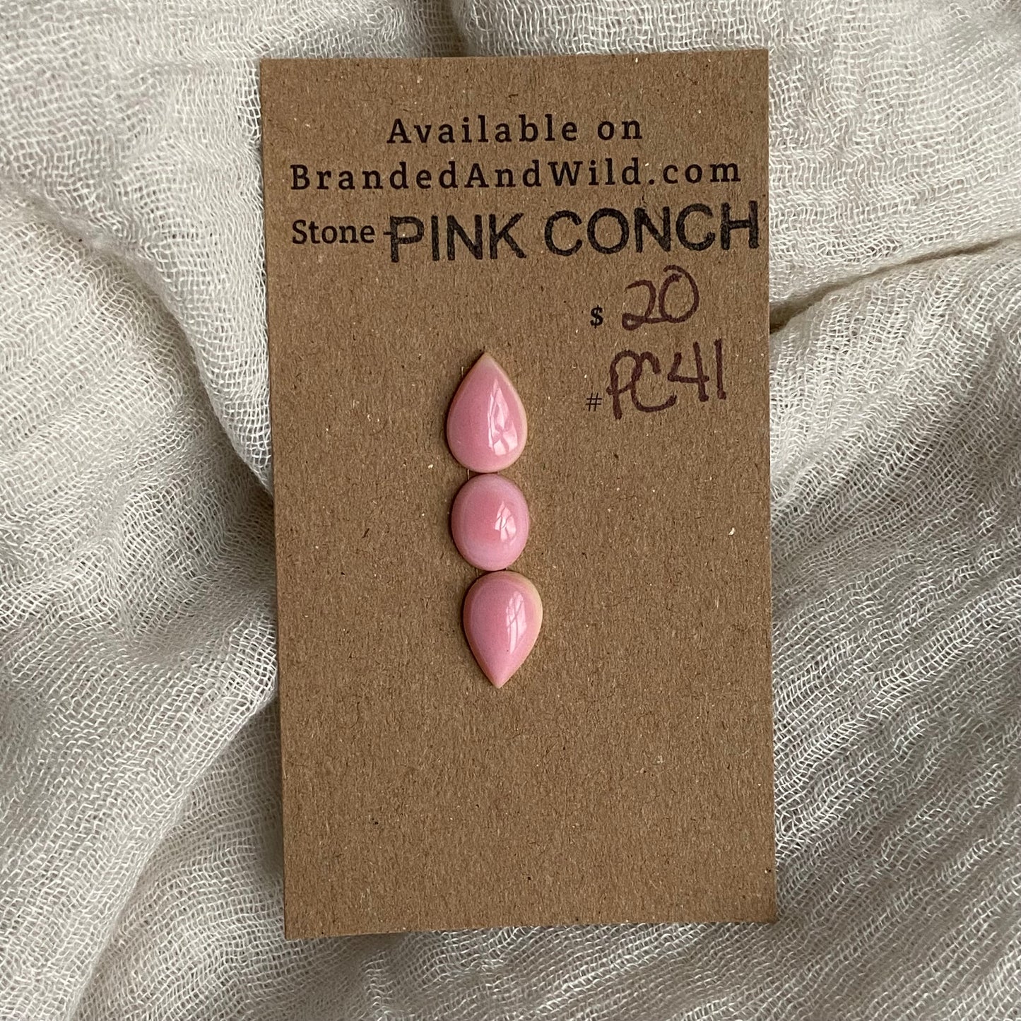 Pink Conch Cabochon - PC41