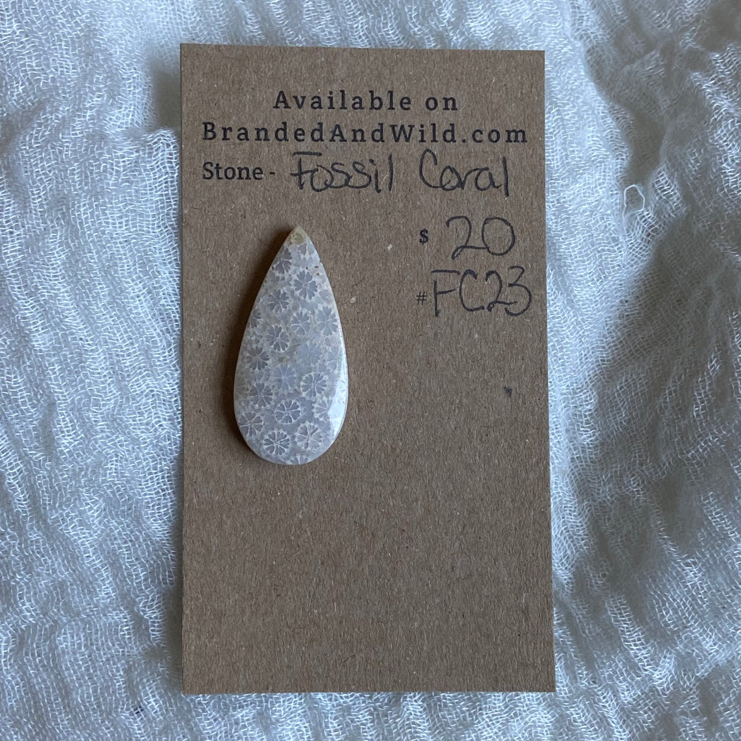 Fossil Coral Cabochon - FC23
