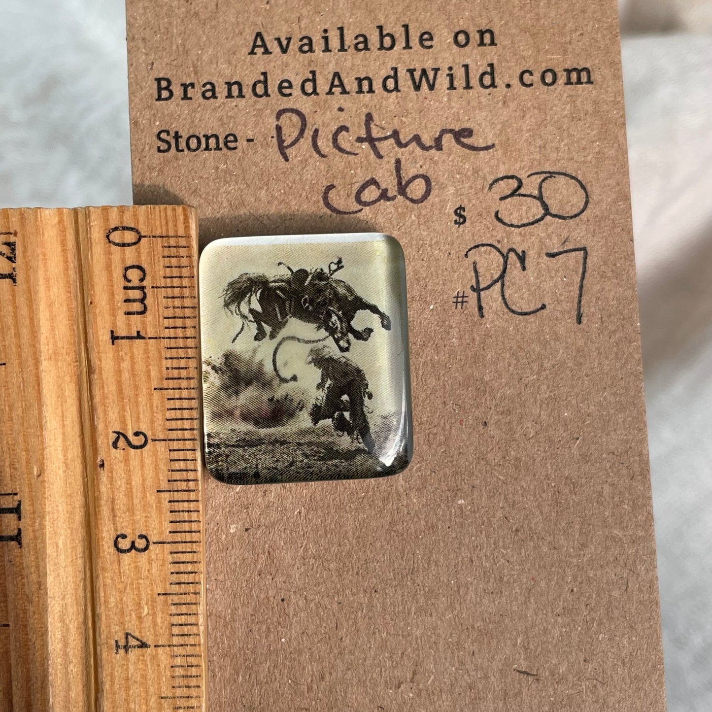 Picture Cabochon - Cabochon - PC7 5B489C51-1145-4C49-858C-37F1C0AC637E Brandedandwild.com