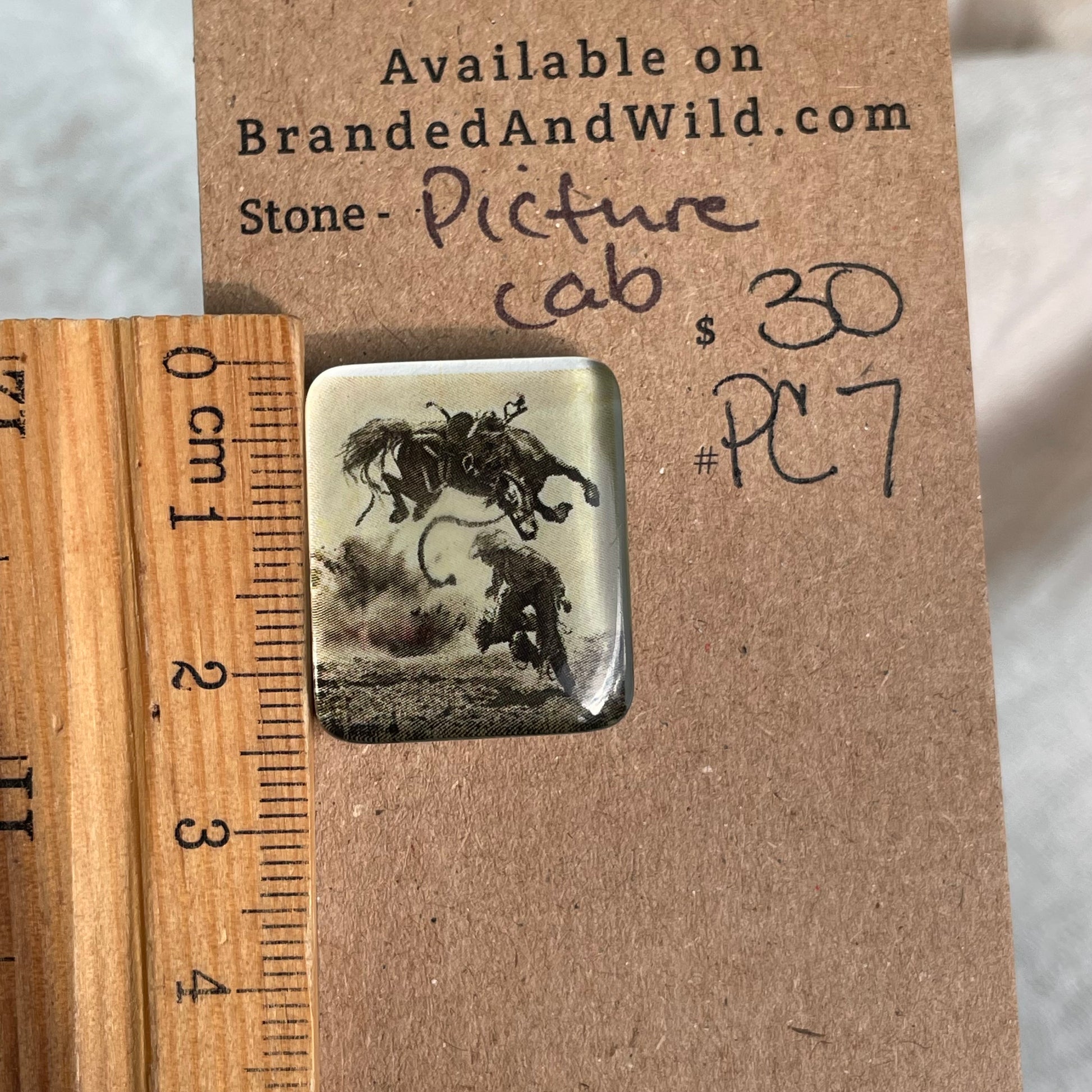 Picture Cabochon - Cabochon - PC7 5B489C51-1145-4C49-858C-37F1C0AC637E Brandedandwild.com