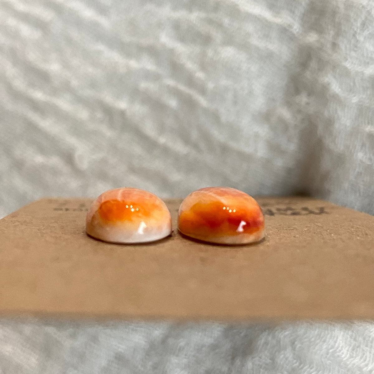 Oyster Shell Cabochon - OS88