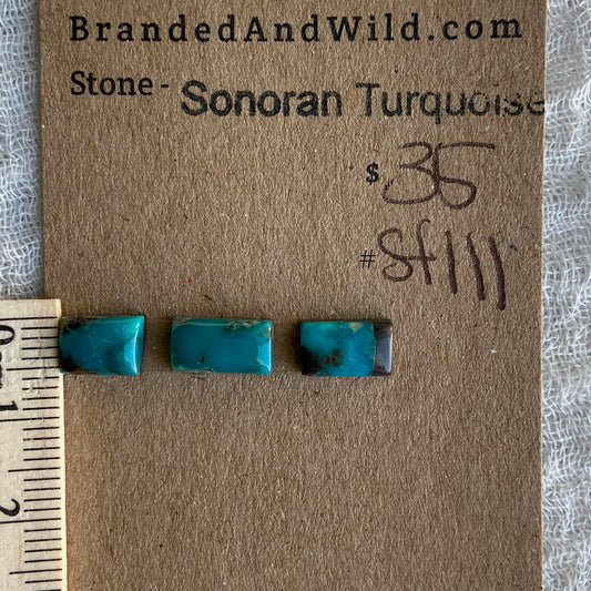 Sonoran Turquoise Cabochon - ST111
