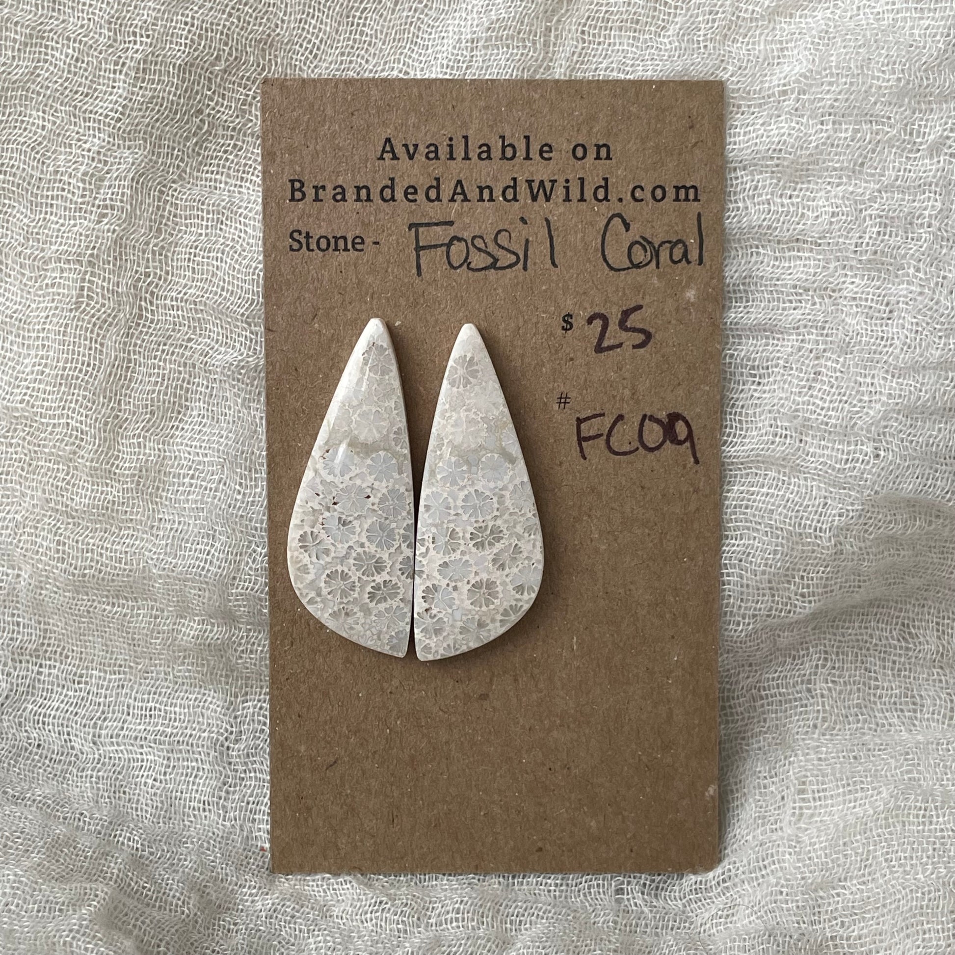 Fossil Coral Cabochon - FC09 5B6F1BF9-B0F7-45E0-B200-840E032CE3BE Brandedandwild.com