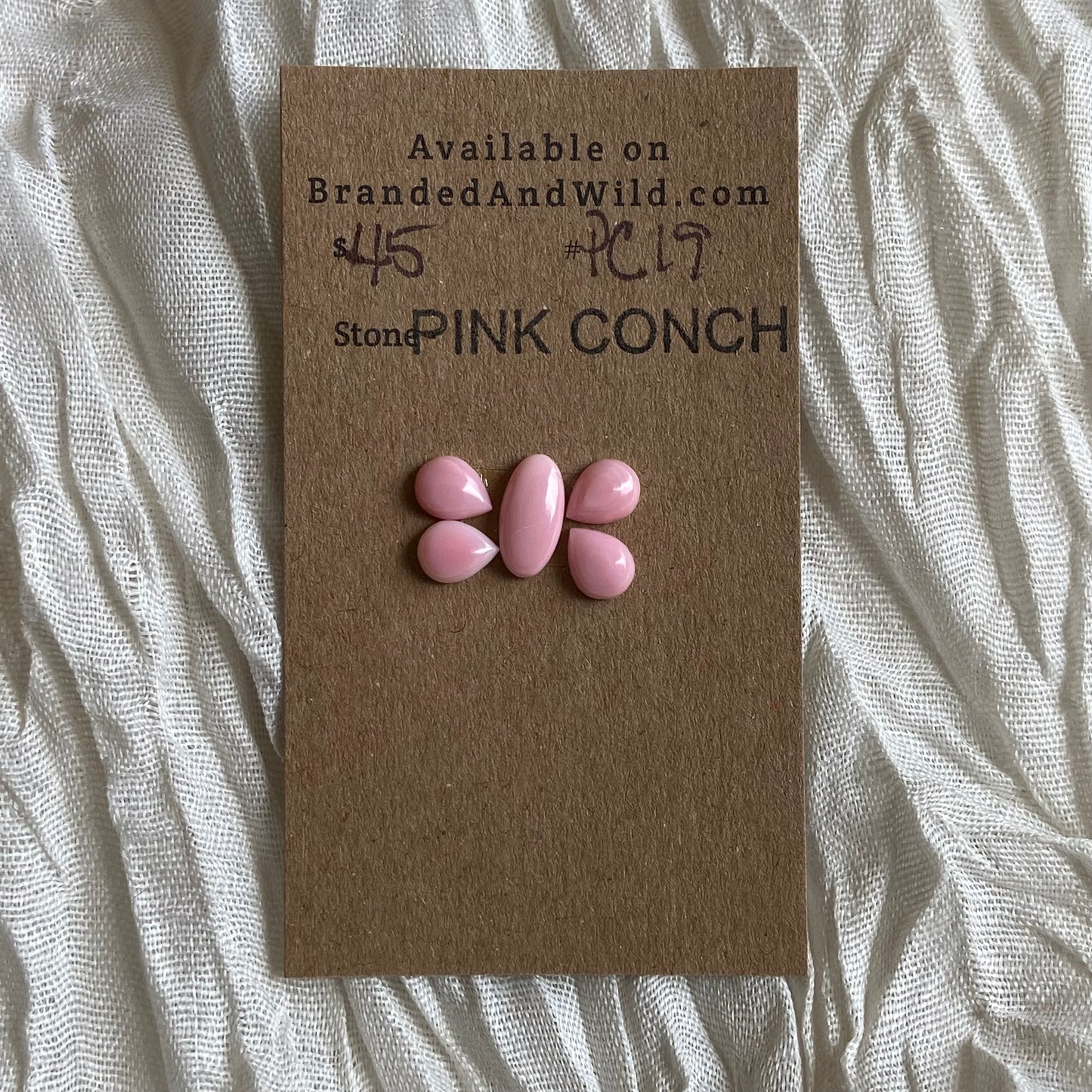 Pink Conch Cabochon - PC19 5B74EC74-8987-466F-939A-4884C83A6597 Brandedandwild.com