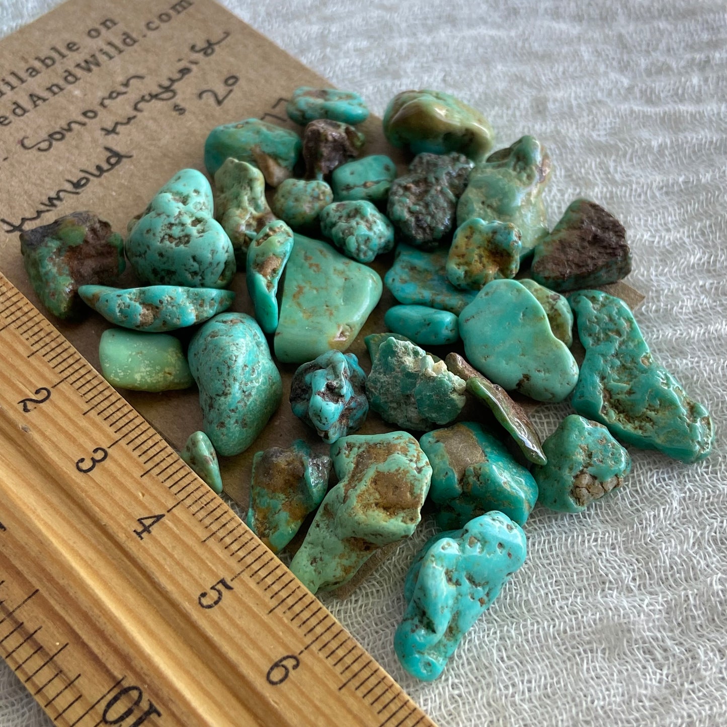 Rough Tumbled Sonoran Gold Turquoise - #ST17