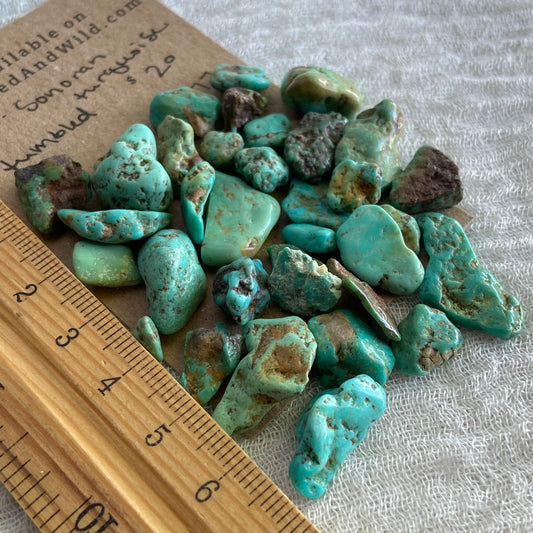 Rough Tumbled Sonoran Gold Turquoise - #ST17