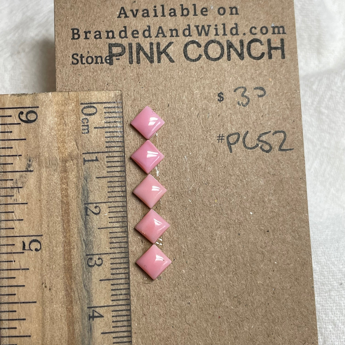 Pink Conch Cabochon - PC52 5BC8336F-5A47-4FE1-B2C9-189C907A50B2 Brandedandwild.com