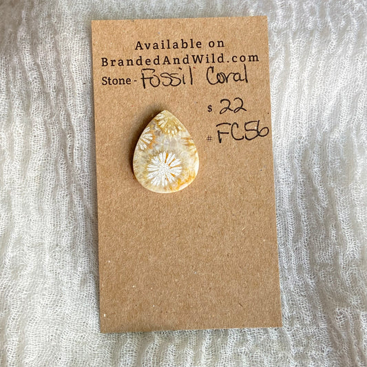 Fossil Coral Cabochon - FC56