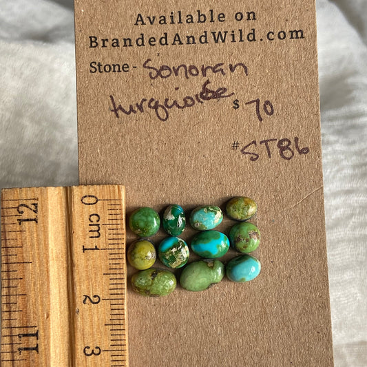 Sonoran Turquoise Cabochon - ST86
