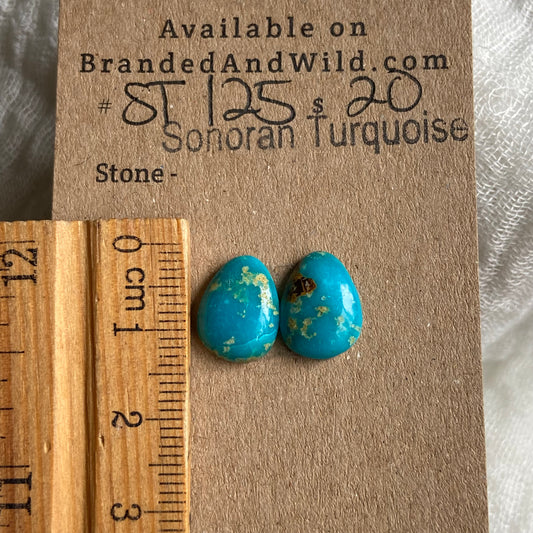 Sonoran Turquoise Cabochon - ST125 5C56191B-3A13-4AD6-A2C0-23D7500097CB Brandedandwild.com